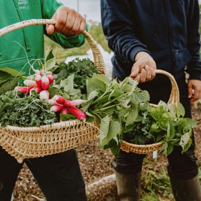 Quelques-uns de nos produits