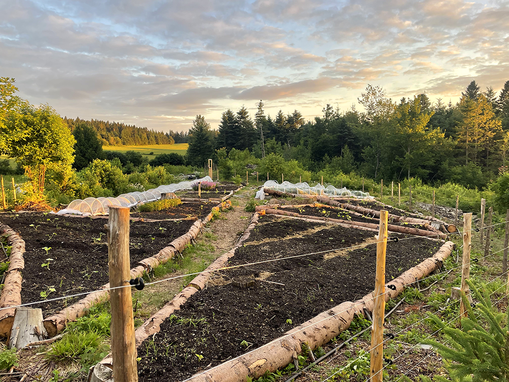 Une de nos parcelles