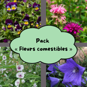 Pack « Fleurs Comestibles »