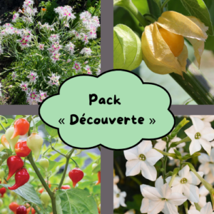 Pack « Découverte »