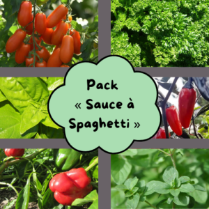 Pack « Sauce à Spaghetti »