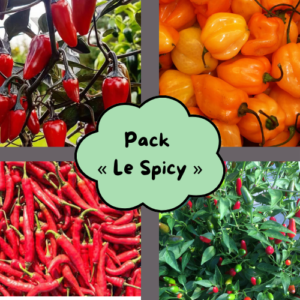 Pack « Le Spicy »