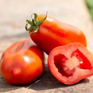 Tomate italienne rouge San Marzano - Crête de 6 alvéoles